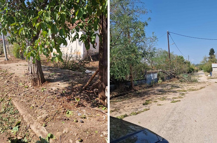 Κλιμάκιο του Δήμου Φαρσάλων στα Βρυσιά που χτυπήθηκαν από την κακοκαιρία