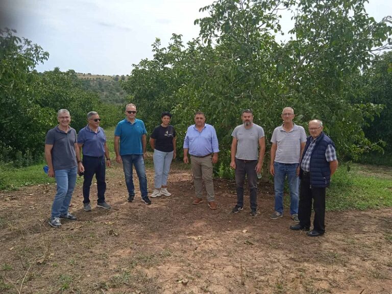 Στα χαλαζόπληκτα χωριά της Ελασσόνας μικτό κλιμάκιο της Περιφέρειας του Δήμου και του ΕΛΓΑ