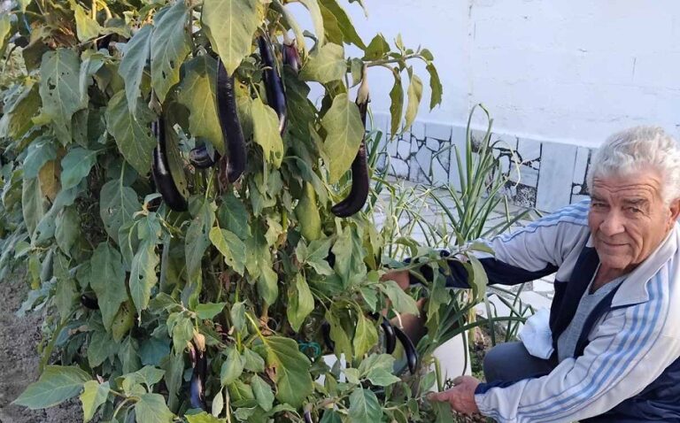 Οταν η φύση έχει κέφια…