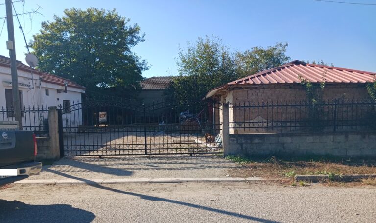 Ελεύθερος αφέθηκε ο ιδιοκτήτης των σκύλων που κατασπάραξαν τη μητέρα του στα Πλατανούλια Τυρνάβου