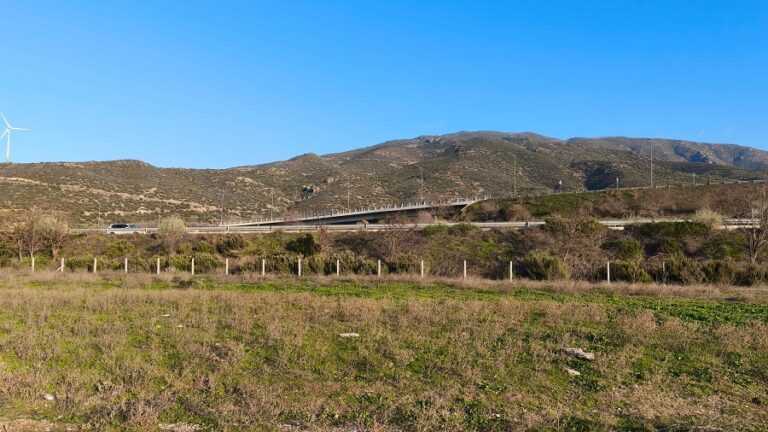 Απαράδεκτο: Εξαφάνισαν τα 58 καρφιά του έργου που στήθηκε για να θυμίζει το έγκλημα των Τεμπών