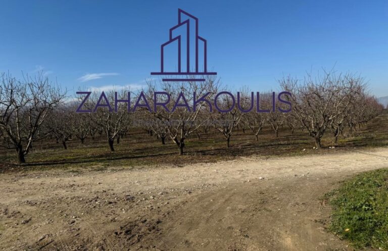 Πωλείται στον Τύρναβο αγροτεμάχιο με αμυγδαλιές