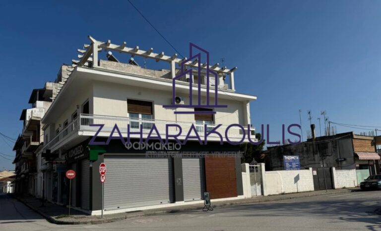 Ενοικιάζεται μονοκατοικία στον Τύρναβο