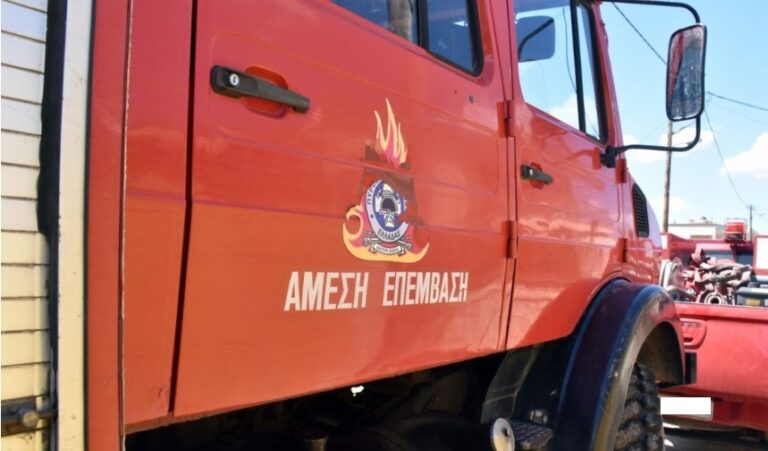 Συναγερμός στην Πυροσβεστική για φωτιά σε τμήμα εργοστασίου επεξεργασίας ξύλου στη ΒΙΠΕ Λάρισας