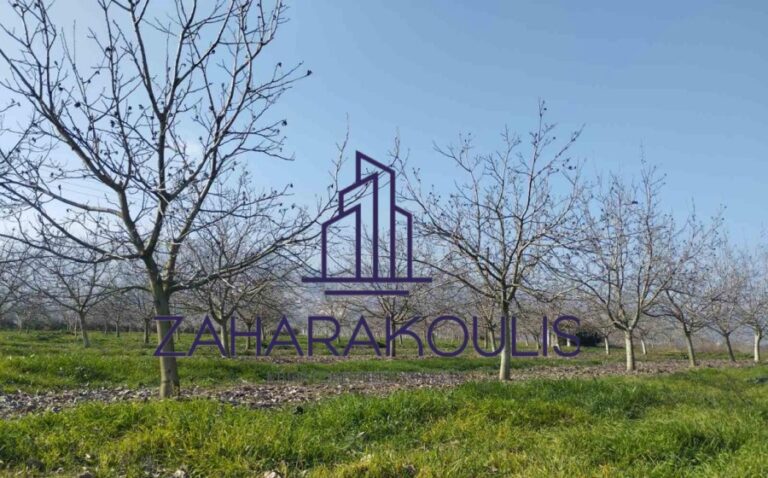 Πωλείται αγροτεμάχιο στην Τύρναβο