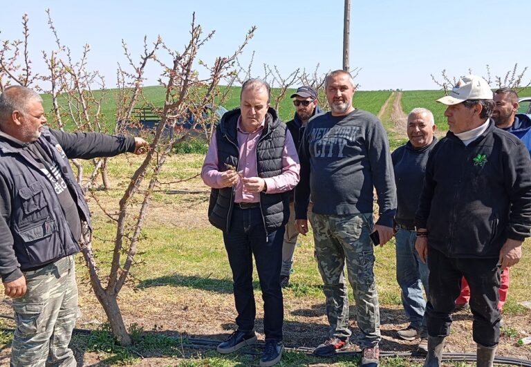 Στους οικισμούς του Δήμου Λαρισαίων ο Αντιδήμαρχος Κ. Βλαχούλης για τις ζημιές από τον παγετό