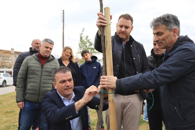 Δήμος Λαρισαίων: Δράση δεντροφύτευσης στο Πάρκο Πόλης στη Γιάννουλη