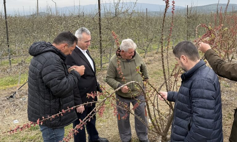 Μ. Χαρακόπουλος: Επιβεβλημένες οι προκαταβολές αποζημιώσεων στις παγετόπληκτες καλλιέργειες