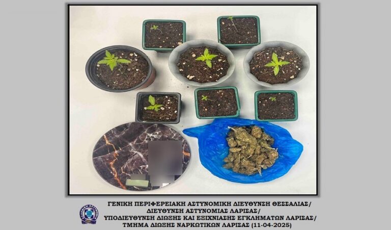 Μία σύλληψη στη Λάρισα για κατοχή κάνναβης και καλλιέργεια δενδρυλλίων