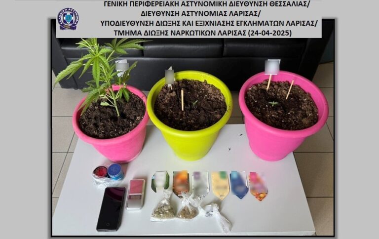 Συνελήφθη Λαρισαίος για καλλιέργεια και κατοχή ναρκωτικών