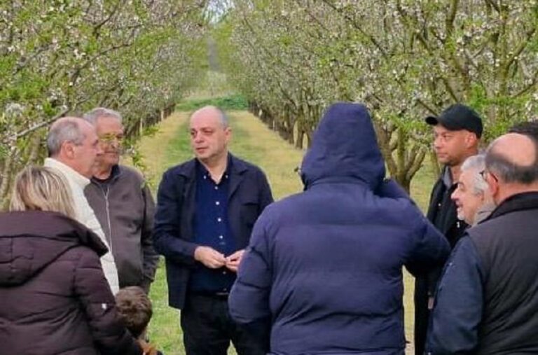 Χρ. Καπετάνος: Στήριξη σε όλους τους αμυγδαλοπαραγωγούς του νομού Λάρισας
