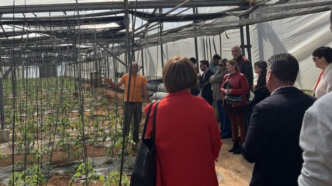 GrowShareEngageUrbanGardensEnarktiriaSynantisiKileler2