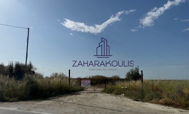 Πωλείται αγροτεμάχιο στον δρόμο Τυρνάβου – Αμπελώνα