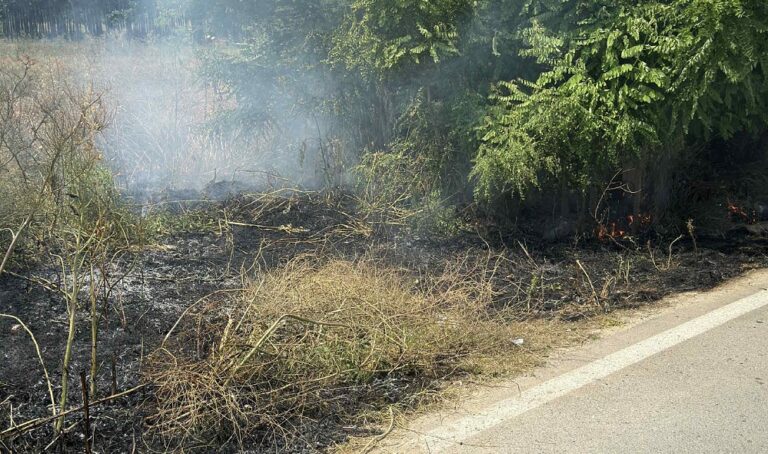 Αμπελώνας: Φωτιά που άναψε ασυνείδητος για να κάψει συσκευασίες φυτοφαρμάκων επεκτάθηκε και απειλεί καλλιέργειες και κτίσματα