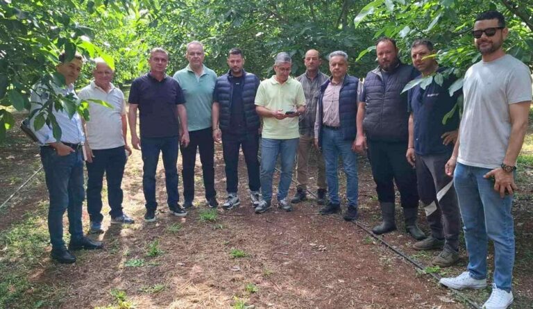 Αυτοψία για την καρπόπτωση σε καλλιέργειες καρυδιάς στο Δήμο Τυρνάβου