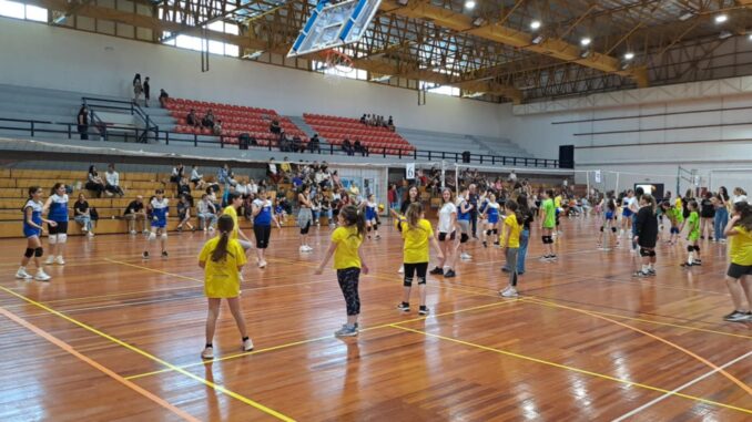 volei1