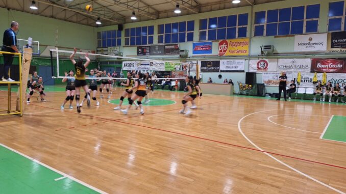 voley