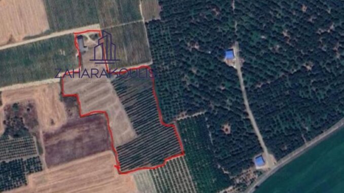 agrotemaxio