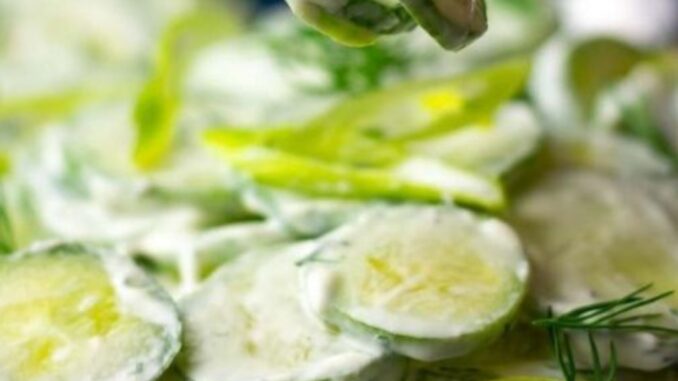 salata_kkalokairini