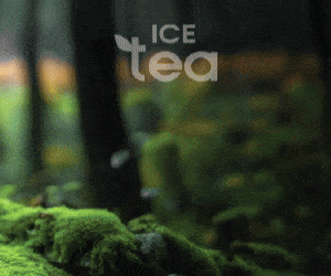 IceTea OLYMPOS