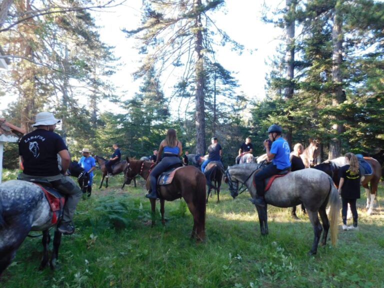 Πετυχημένη η πανελλήνια συνάντηση φίλων του αλόγου στην Πατωμένη της Καλλιπεύκης