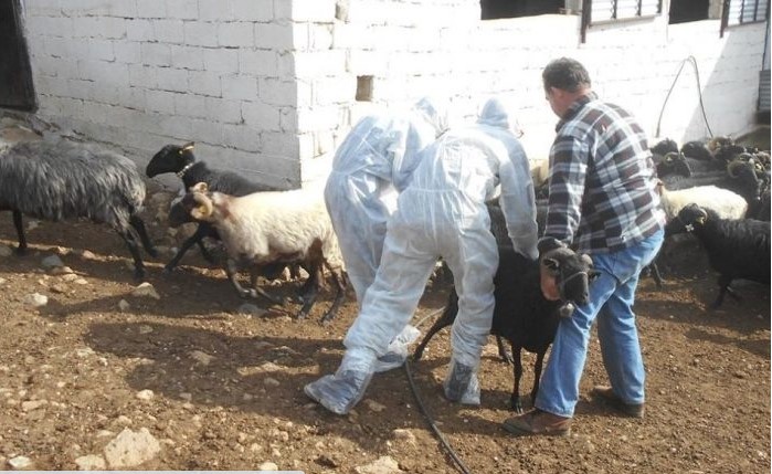 Απάνθρωπες και εξουθενωτικές οι συνθήκες εργασίας των κτηνιάτρων Δ.Υ.