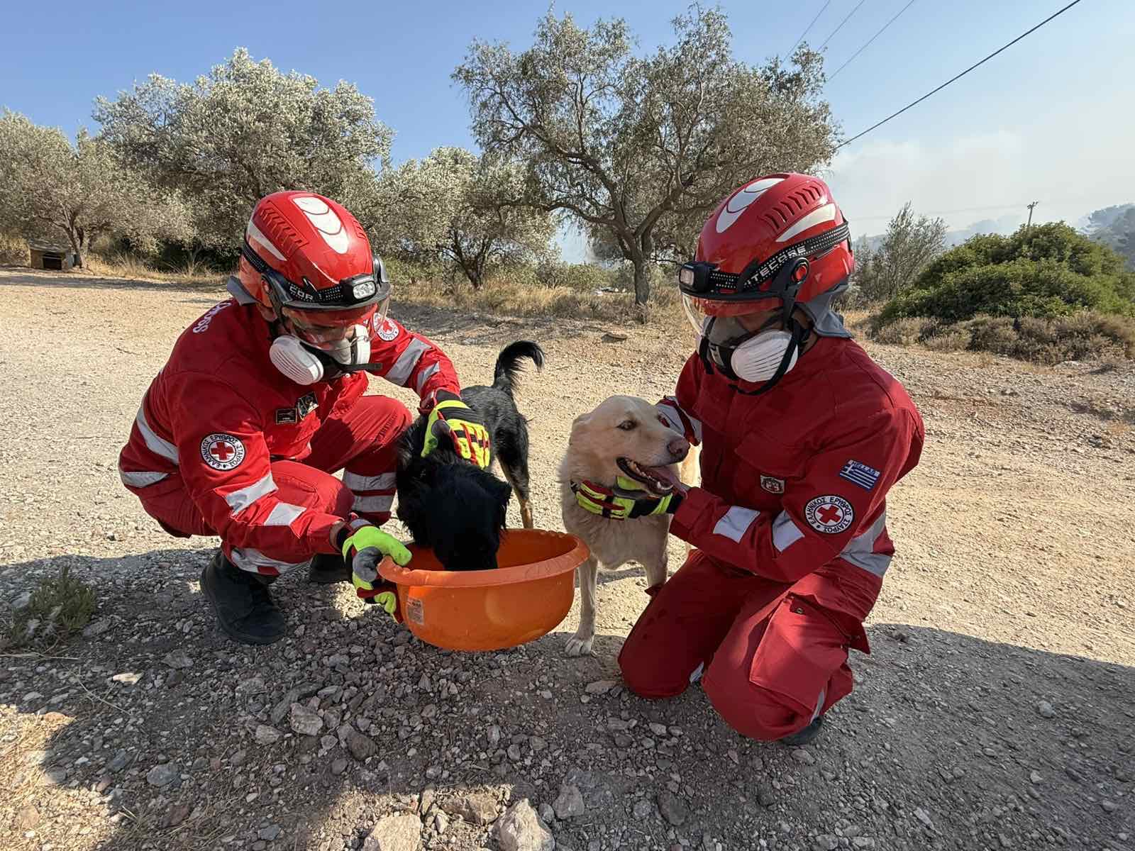 Ελληνικός Ερυθρός Σταυρός: Συγκινητική προσφορά των εθελοντών στα πύρινα μέτωπα της Αττικής
