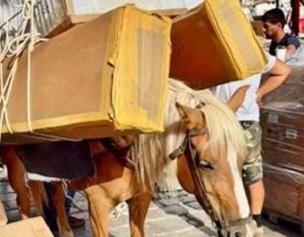 Νέμεσις: Γαϊδουράκια και άλογα. Σύγχρονοι Είλωτες και Σκλάβοι