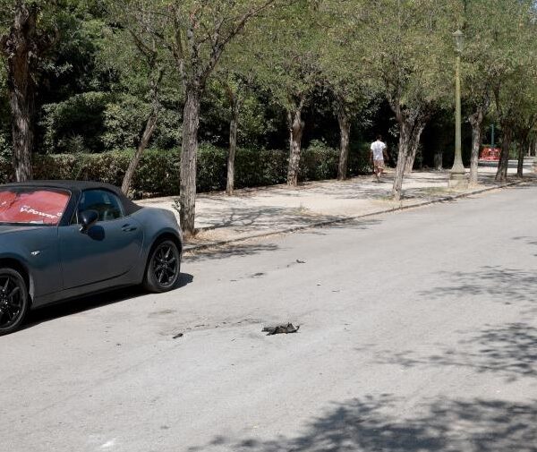 Δημοσιογράφος η 68χρονη που αυτοπυρπολήθηκε στο Ζάππειο φωνάζοντας δεν έχω να φάω