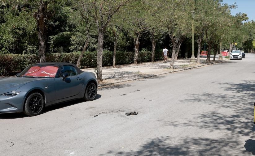 Δημοσιογράφος η 68χρονη που αυτοπυρπολήθηκε στο Ζάππειο φωνάζοντας δεν έχω να φάω