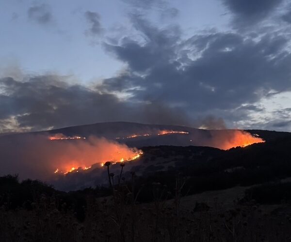Δείτε φωτορεπορτάζ από τη μεγάλη φωτιά στο Δαμάσι που είναι σε εξέλιξη