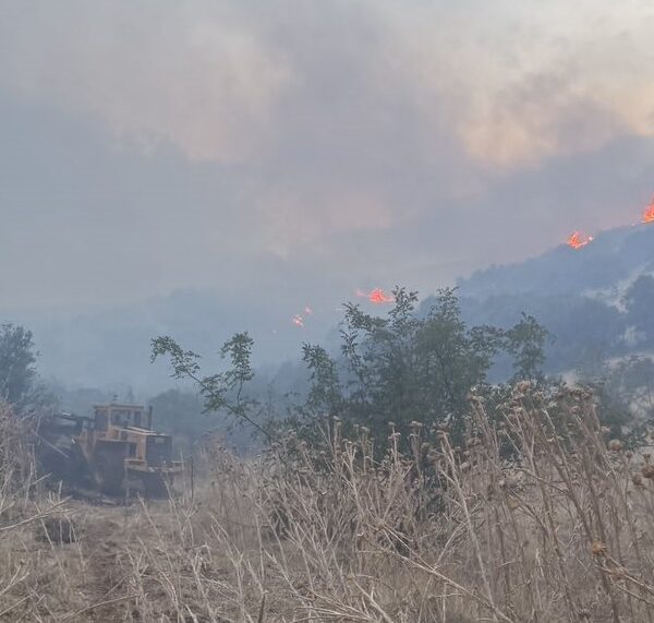 Χωρίς ενεργό μέτωπο η μεγάλη φωτιά στο Δαμάσι