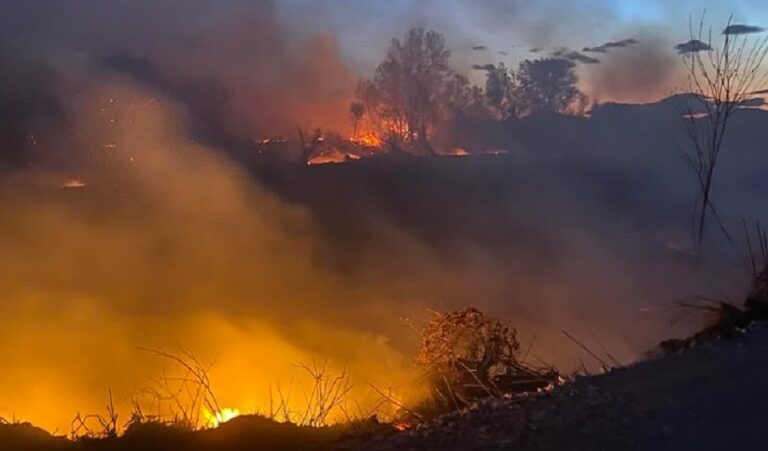 Υπό μερικό έλεγχο η φωτιά κοντά σε σταβλικές εγκαταστάσεις στο Βοτανοχώρι