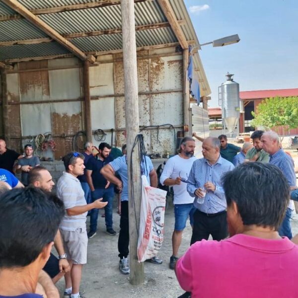 Αποζημιώσεις, ενίσχυση εισοδήματος και αναστολή υποχρεώσεων τα βασικά αιτήματα των κτηνοτρόφων