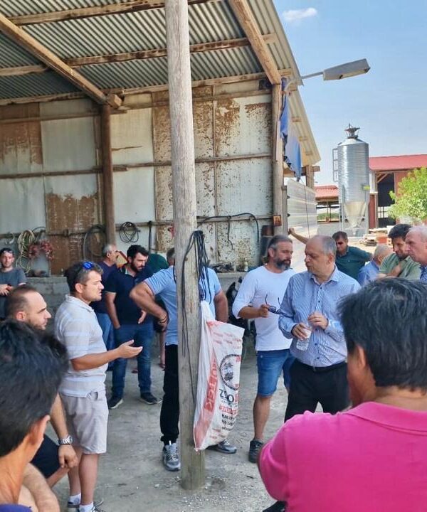 Αποζημιώσεις, ενίσχυση εισοδήματος και αναστολή υποχρεώσεων τα βασικά αιτήματα των κτηνοτρόφων