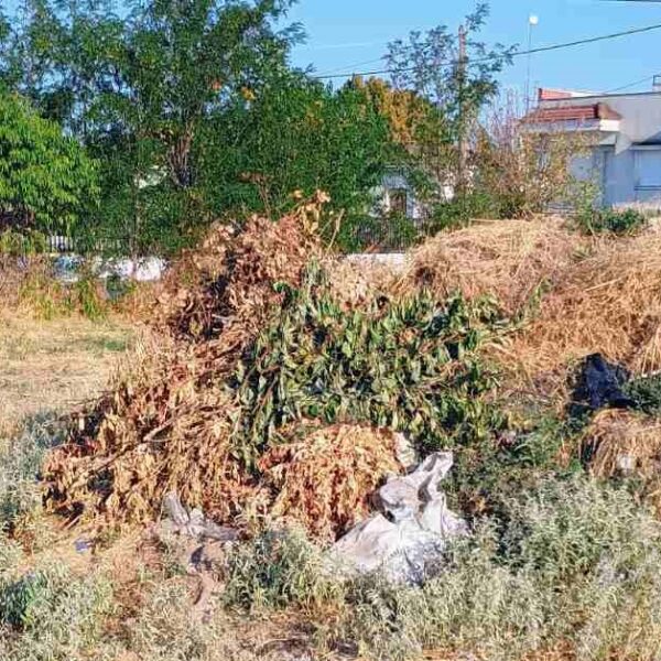 Μετέτρεψαν σε χωματερή δημοτικό οικόπεδο δίπλα σε σπίτια στον Αμπελώνα