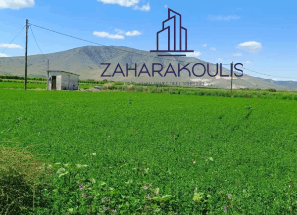 Πωλείται αγροτεμάχιο στον Τύρναβο