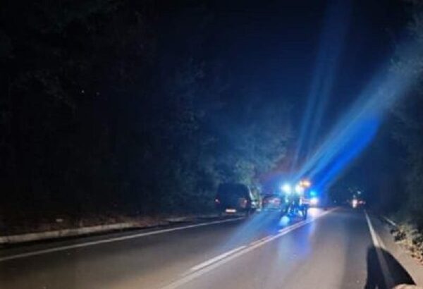 Αυτοκίνητο τράκαρε με αγριογούρουνο το βράδυ του Σαββάτου στο δρόμο Αμπελώνα – Τυρνάβου