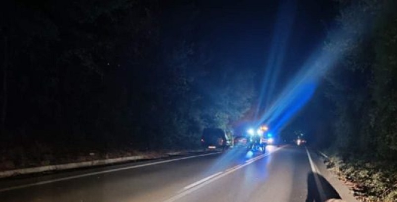 Αυτοκίνητο τράκαρε με αγριογούρουνο το βράδυ του Σαββάτου στο δρόμο Αμπελώνα – Τυρνάβου