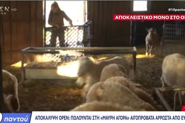 Οργή για τις δήθεν αποκαλύψεις περί διάθεσης κρέατος από άρρωστα ζώα στην κατανάλωση