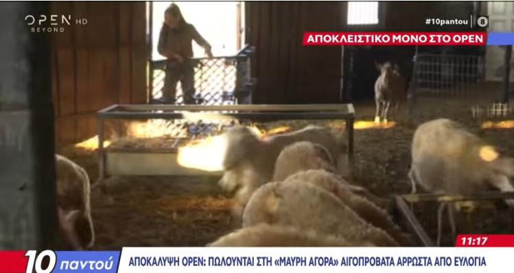 Οργή για τις δήθεν αποκαλύψεις περί διάθεσης κρέατος από άρρωστα ζώα στην κατανάλωση