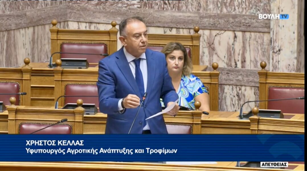 Κέλλας σε Κόκκαλη στη Βουλή: Παραπληροφόρηση και ανευθυνότητα. Δεν υπάρχει αποτελεσματικό εμβόλιο