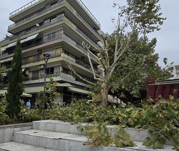 Δήμος Λαρισαίων: «Αδιαπραγμάτευτη αρχή η προστασία και διαφύλαξη του πρασίνου στην πόλη»