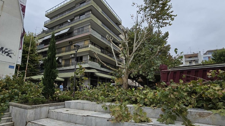 Δήμος Λαρισαίων: «Αδιαπραγμάτευτη αρχή η προστασία και διαφύλαξη του πρασίνου στην πόλη»