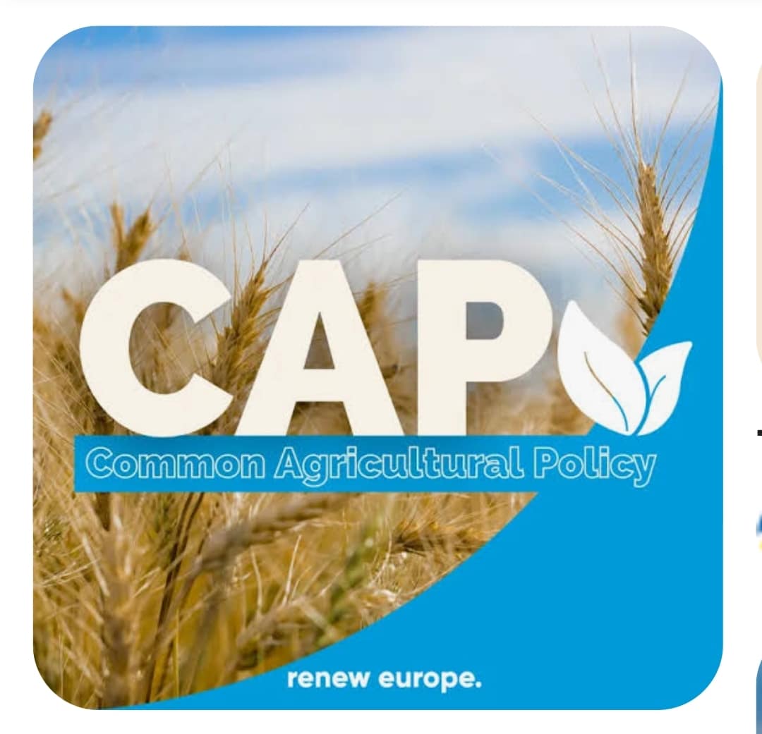 Η Κοινή Αγροτική Πολιτική  2028–2034