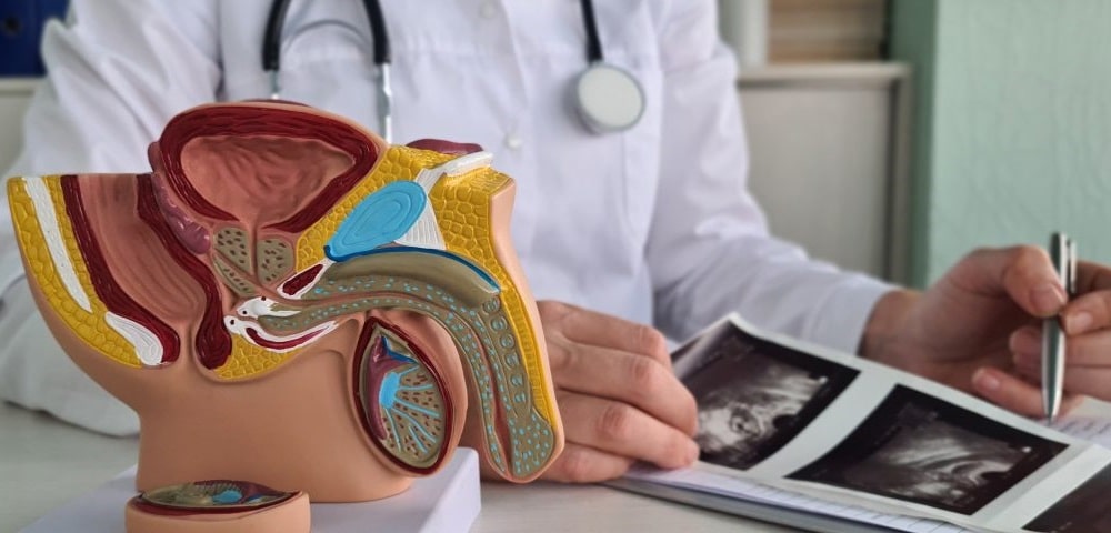 Ενημερωτική εκδήλωση σήμερα Πέμπτη στο Αργυροπούλι για την Πρόληψη του Καρκίνου των Όρχεων