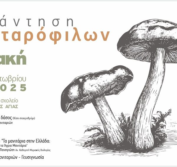 Γιορτή Μανιταριού στην Ανατολή Αγιάς την Κυριακή 12 Οκτωβρίου