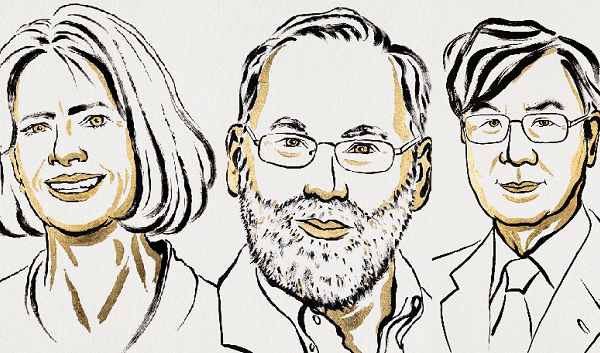 Νόμπελ Ιατρικής 2025: Mary Brunkow, Fred Ramsdell και Shimon Sakaguchi αποκάλυψαν τους «σωματοφύλακες» του ανοσοποιητικού μας