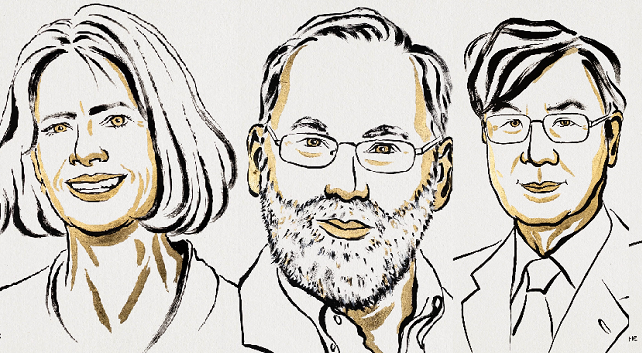 Νόμπελ Ιατρικής 2025: Mary Brunkow, Fred Ramsdell και Shimon Sakaguchi αποκάλυψαν τους «σωματοφύλακες» του ανοσοποιητικού μας