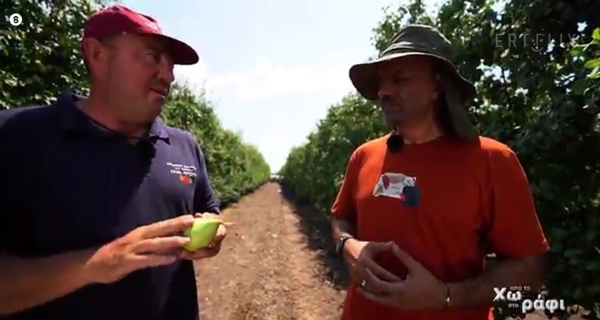Αχλάδι: το «δώρο των θεών»